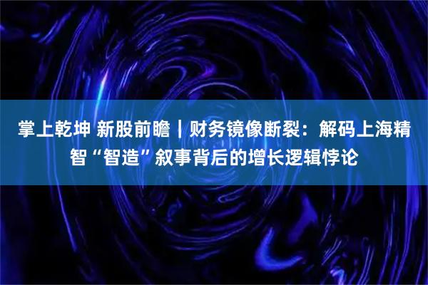 掌上乾坤 新股前瞻｜财务镜像断裂：解码上海精智“智造”叙事背后的增长逻辑悖论