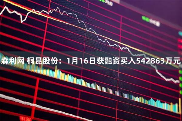 森利网 桐昆股份:1月16日获融资买入542863万元