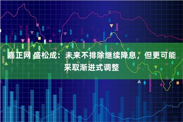 嘉正网 盛松成:未来不排除继续降息,但更可能采取渐进式调整