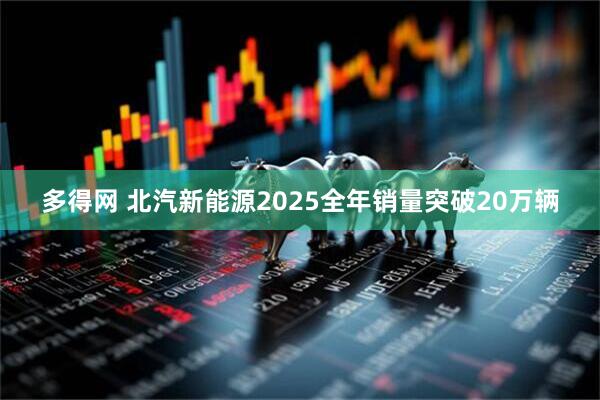 多得网 北汽新能源2025全年销量突破20万辆