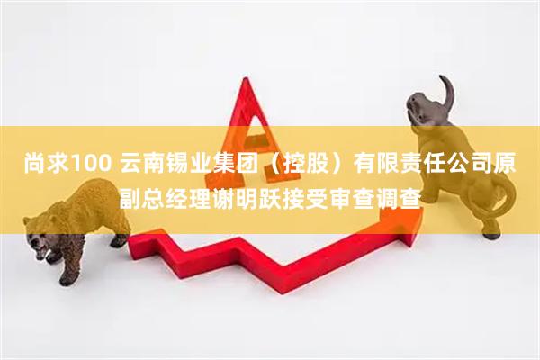 尚求100 云南锡业集团（控股）有限责任公司原副总经理谢明跃接受审查调查