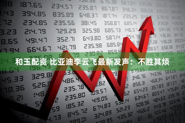 和玉配资 比亚迪李云飞最新发声：不胜其烦